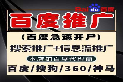百度信息流广告推广：成功案例解析